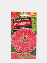 Семена Цинния изящная Крупноцветковая розовая