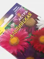 Семена Астра "Альпийская" смесь окрасок
