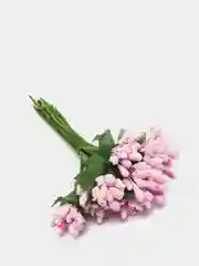 Розовый тычинки для цветов