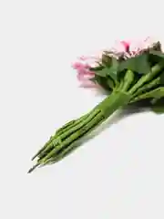Розовый тычинки для цветов