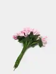 Розовый тычинки для цветов