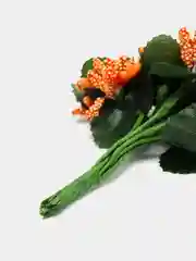 Оранжевый тычинки для цветов
