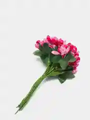 Фуксия тычинки для цветов