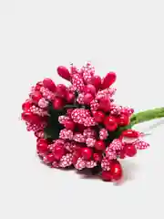 Фуксия тычинки для цветов