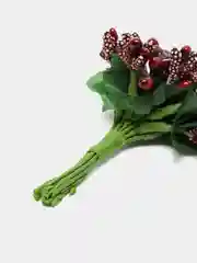 Багровый тычинки для цветов