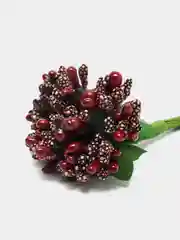 Багровый тычинки для цветов