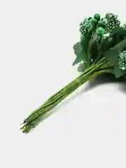 Зеленый тычинки для цветов