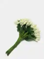 Манго тычинки для цветов