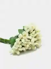 Манго тычинки для цветов