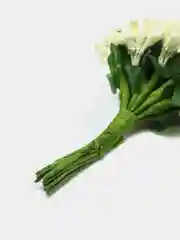Манго тычинки для цветов