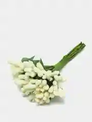 Манго тычинки для цветов