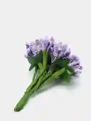 Фиолетовый тычинки для цветов