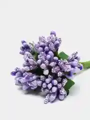 Фиолетовый тычинки для цветов