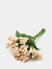 Бежевый тычинки для цветов