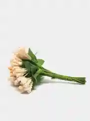 Бежевый тычинки для цветов