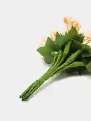 Бежевый тычинки для цветов