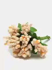 Бежевый тычинки для цветов