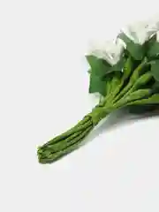 Белый тычинки для цветов