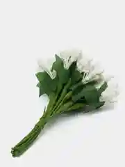 Белый тычинки для цветов
