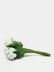 Белый тычинки для цветов
