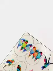 Наклейки для ногтей, слайдеры для маникюра и педикюра "Колибри"