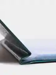 Лесной зеленый альбом для банкнот