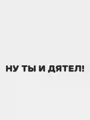 Черный наклейка на автомобиль "НУ ТЫ И ДЯТЕЛ!" - для не умных водителей
