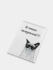 Блокнот на пружине "В смысле, понедельник?", А5
