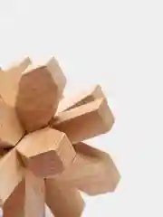 Оливковый деревянные головоломки