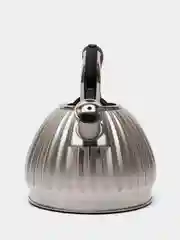 Серебряный чайник со свистком MB, металл, 3,0 л