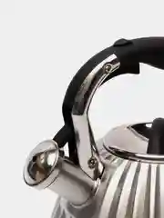 Серебряный чайник со свистком MB, металл, 3,0 л