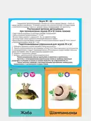 Обучающая книга Логопедические картинки. Звук "Ж-Ш"