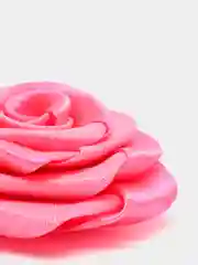 Фуксия розы из ткани