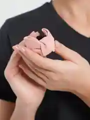 Розовый заколка для волос