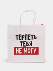 Пакет подарочный "Терпеть тебя не могу", 22 х 22 х 11 см
