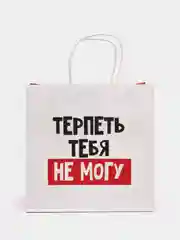 Пакет подарочный "Терпеть тебя не могу", 22 х 22 х 11 см