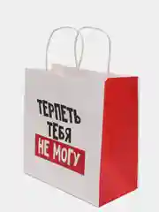 Пакет подарочный "Терпеть тебя не могу", 22 х 22 х 11 см
