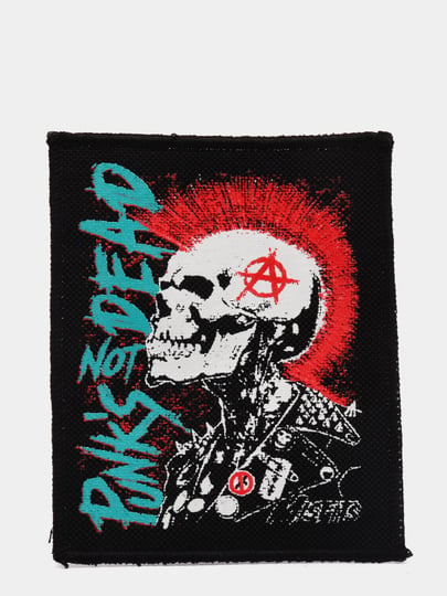 Punks not dead перевод