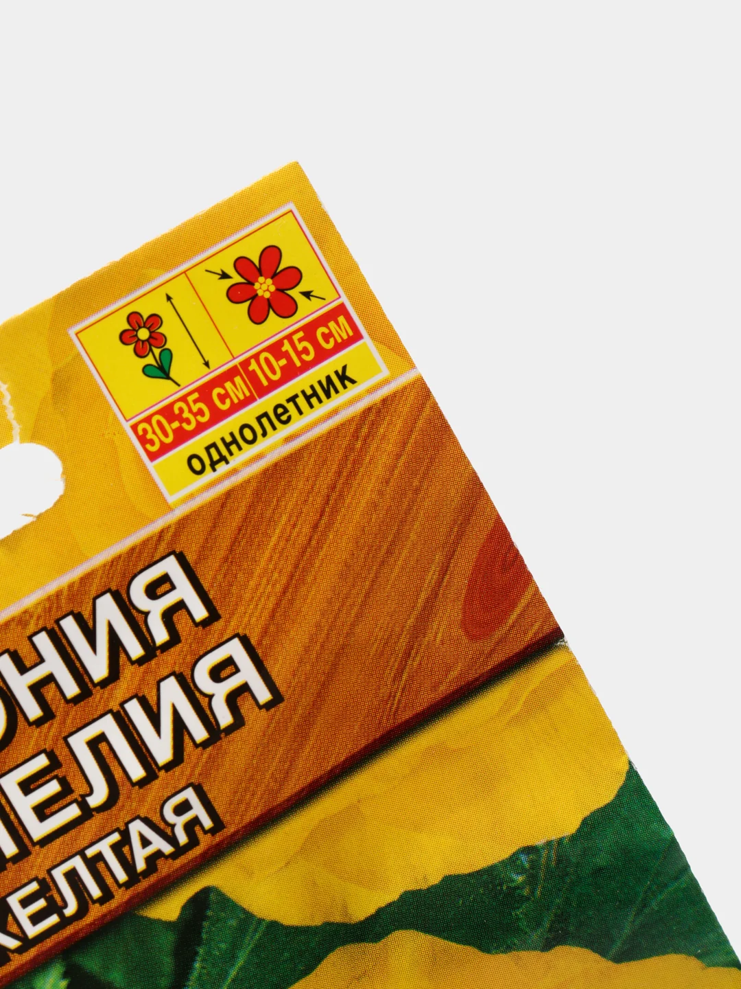 Бегония Камелия желтая (семена,цветы)