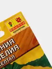 Бегония Камелия желтая (семена,цветы)