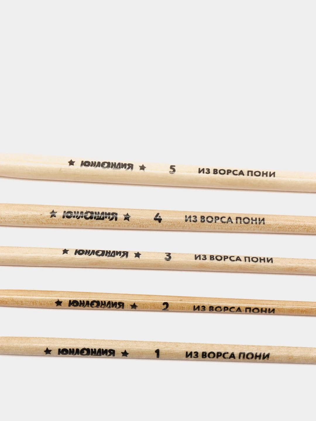 Кисти Юнландия, 5 штук (пони, круглая № 1,2,3,4,5)