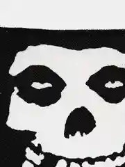 Нашивка с принтом "Misfits"