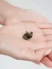 Коралловый брошь женская "Божья коровка"