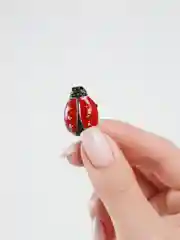 Коралловый брошь женская "Божья коровка"