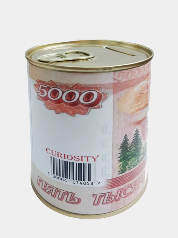 Копилка для денег, монет и купюр "Пять тысяч рублей"