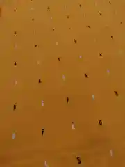 Футболка для мальчика