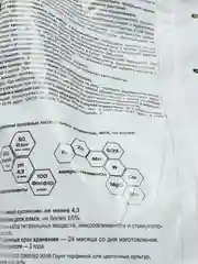 Грунт для хвойных растений, субстрат бонсай, живая земля, 5 л