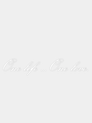Наклейка на авто "One Life... One Love. - Одна жизнь, одна любовь" 40х7см