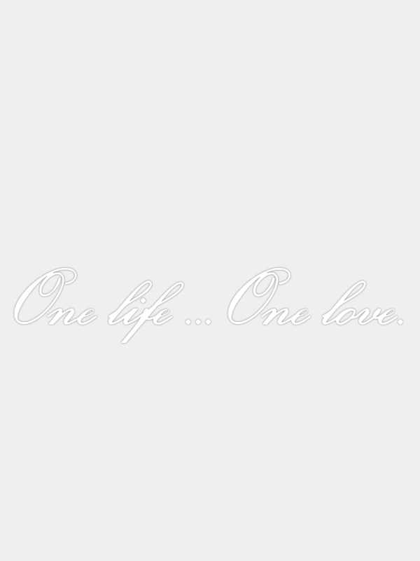 Наклейка на авто "One Life... One Love. - Одна жизнь, одна любовь" 40х7см
