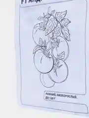 Томат "Андромеда", семена